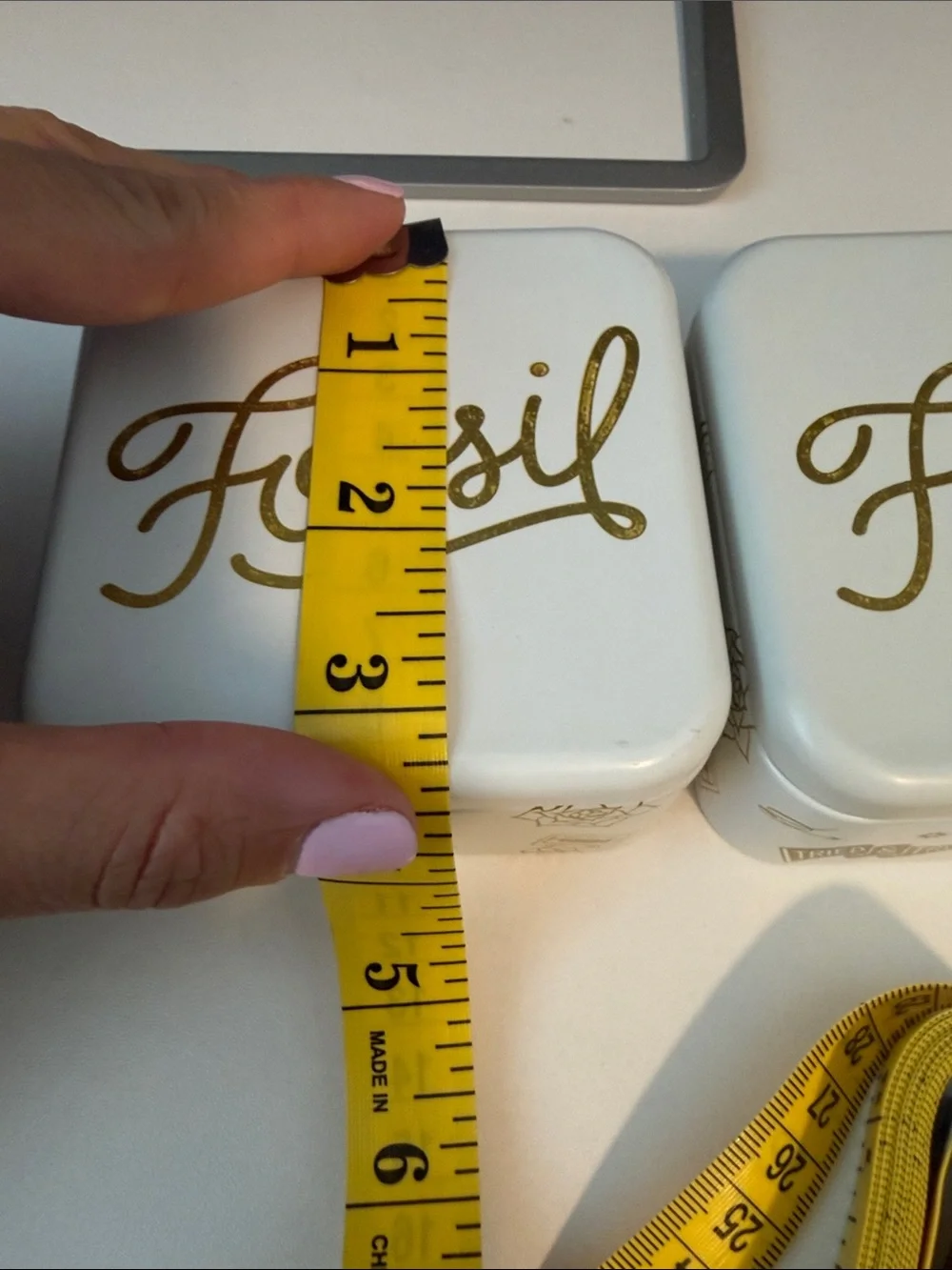 Fossil Trinket Tins ( 3 tins)